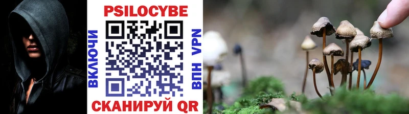 Галлюциногенные грибы ЛСД  Купить  Краснослободск 